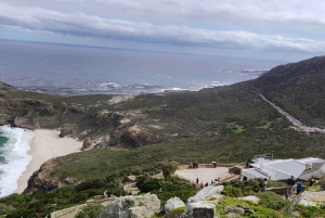 Kapstadt: Tafelberg, Cape Point & Pinguine – private Tour