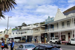 Kapstadt: Tafelberg, Cape Point & Pinguine – private Tour