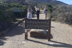 Kapstadt: Tafelberg, Cape Point & Pinguine – private Tour