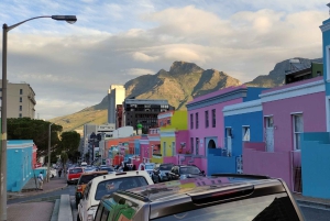 Kapstadt: Tafelberg, Cape Point & Pinguine – private Tour