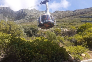 Kapstadt: Tafelberg, Cape Point & Pinguine – private Tour