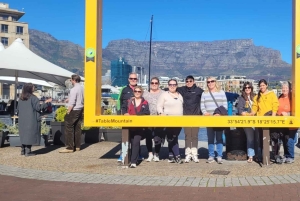 Kapsztad: Góra Stołowa/Cape Point/pingwiny/degustacja wina