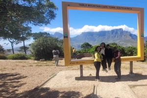 Kapsztad: Góra Stołowa/Cape Point/pingwiny/degustacja wina