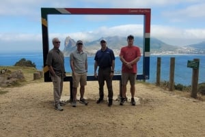 Kapsztad: Góra Stołowa/Cape Point/pingwiny/degustacja wina