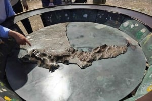 Kapsztad: Góra Stołowa/Cape Point/pingwiny/degustacja wina