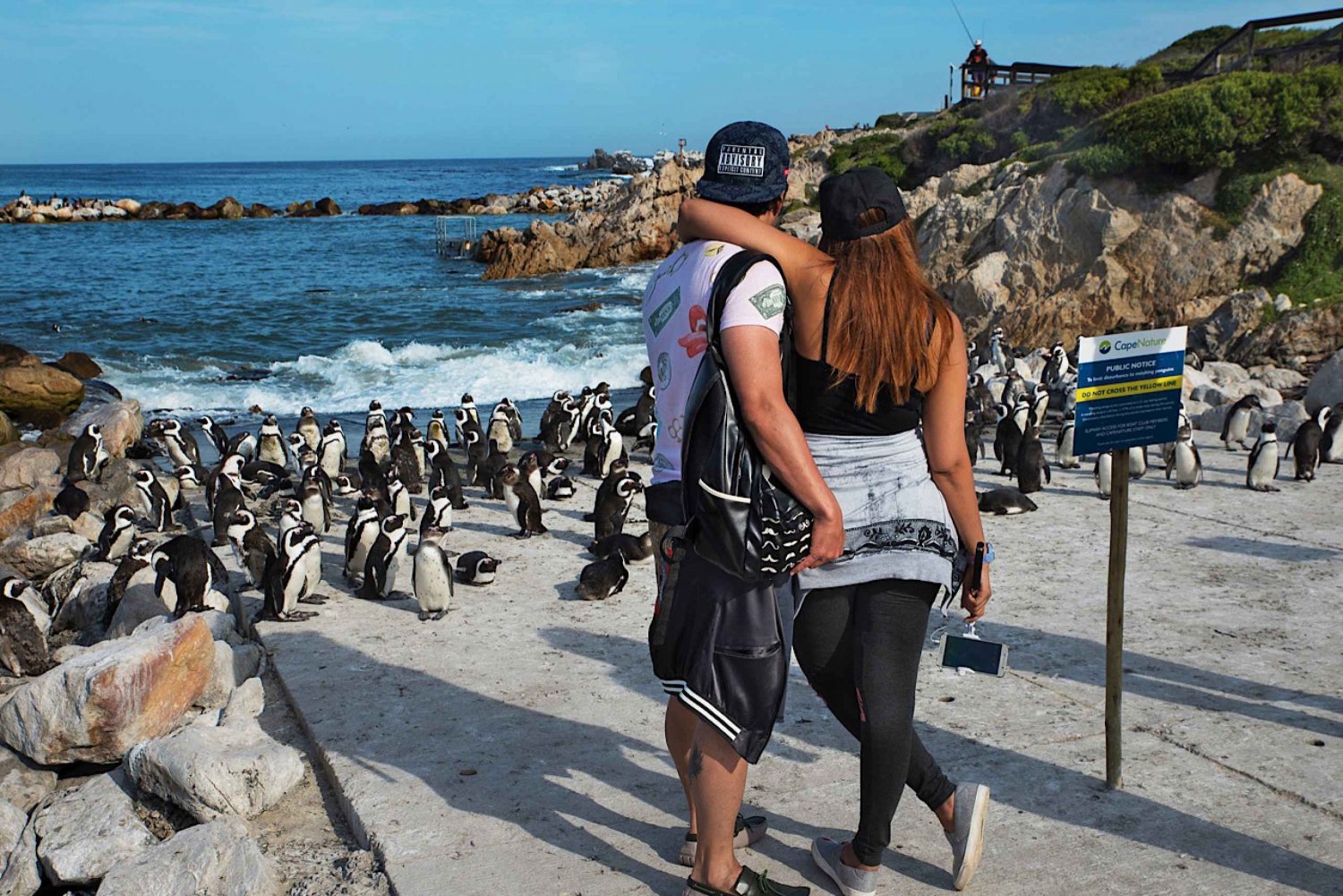 Cape Town: Table Mountain, Penguins & Cape Point Shared Tour