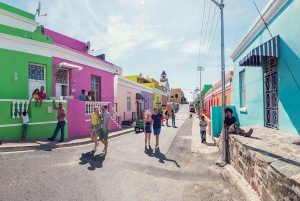 Cape Town: Table Mountain, Penguins & Cape Point Shared Tour