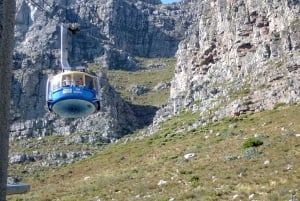 Cape Town: Table Mountain & Chapman's Peak Drive Guided Tour