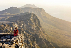 Cape Town: Table Mountain, Penguins & Cape Point Shared Tour