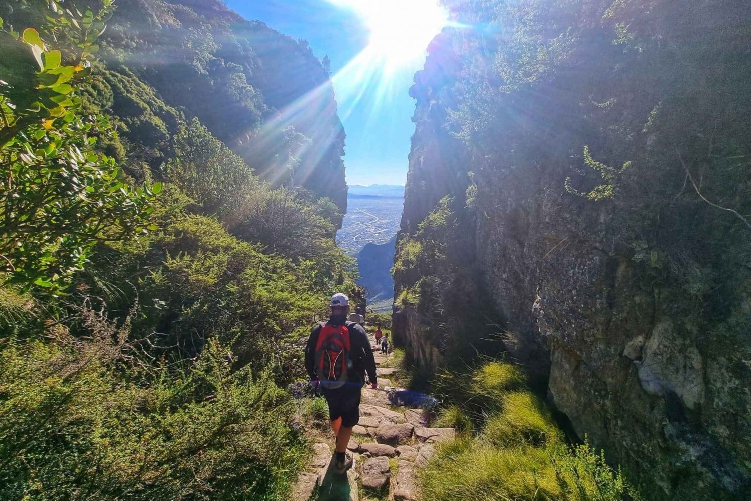 Cape Town: Table Mountain Group Hike via Platteklip Gorge