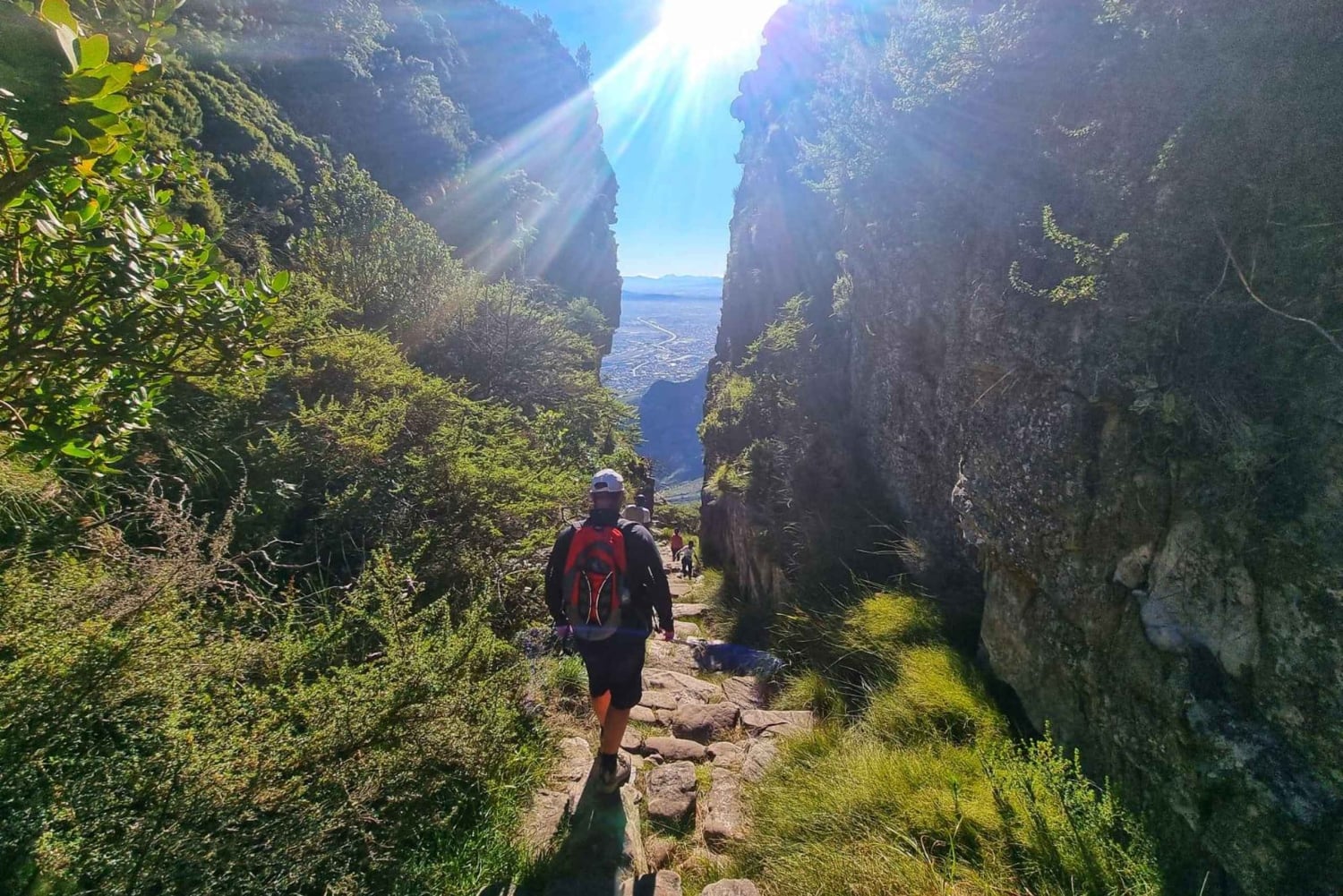 Ciudad del Cabo: Excursión en grupo a la Montaña de la Mesa por el desfiladero de Platteklip