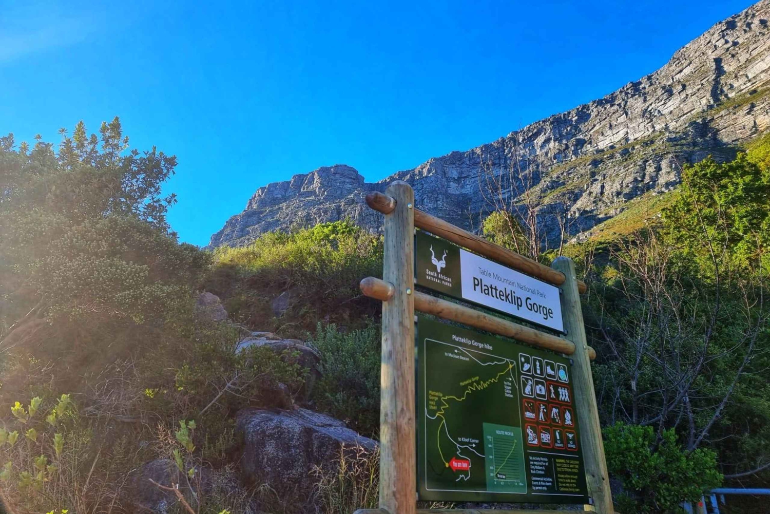 Ciudad del Cabo: Excursión en grupo a la Montaña de la Mesa por el desfiladero de Platteklip