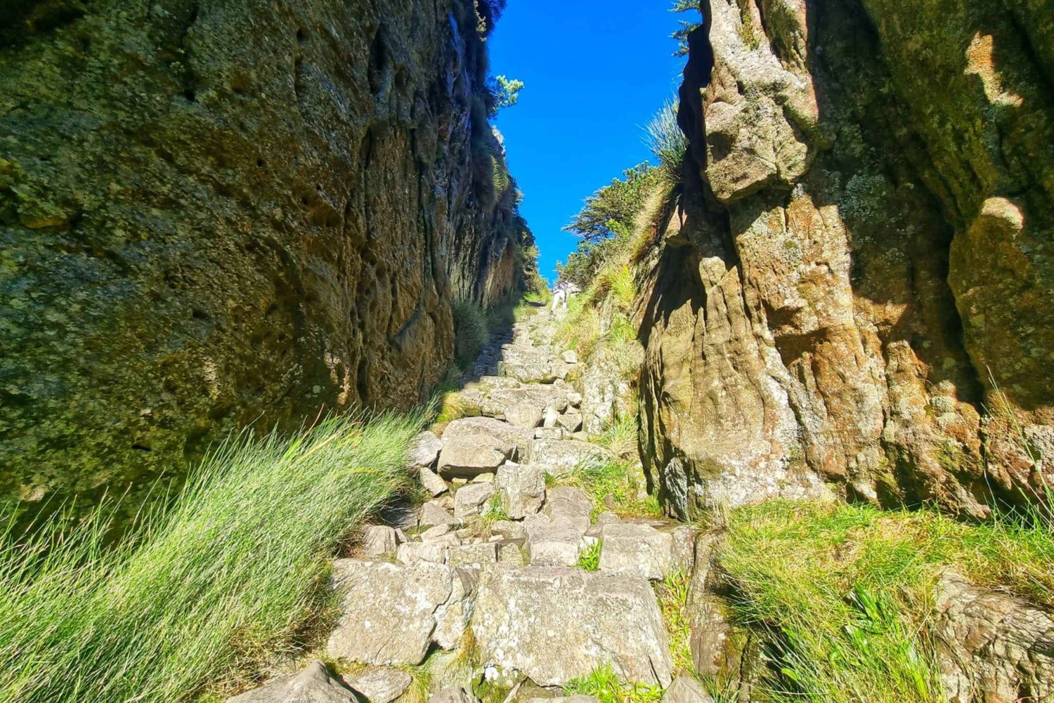 Ciudad del Cabo: Excursión en grupo a la Montaña de la Mesa por el desfiladero de Platteklip