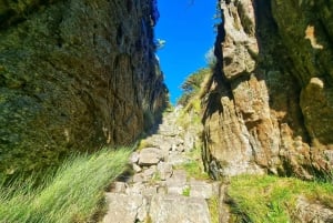 Cape Town: Gruppevandring på Taffelbjerget via Platteklip Gorge