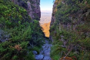 Cape Town: Gruppevandring på Taffelbjerget via Platteklip Gorge