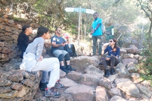 Cape Town: Gruppevandring på Taffelbjerget via Platteklip Gorge