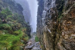 Cape Town: Gruppevandring på Taffelbjerget via Platteklip Gorge