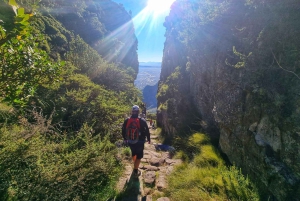 Ciudad del Cabo: Excursión en grupo a la Montaña de la Mesa por el desfiladero de Platteklip
