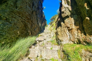 Ciudad del Cabo: Excursión en grupo a la Montaña de la Mesa por el desfiladero de Platteklip