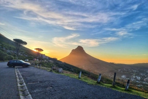 Ciudad del Cabo: Excursión en grupo a la Montaña de la Mesa por el desfiladero de Platteklip