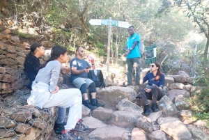 Ciudad del Cabo: Excursión en grupo a la Montaña de la Mesa por el desfiladero de Platteklip