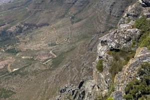 Кейптаун: поход с гидом на Столовую гору и спуск на канатной дороге