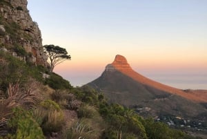 Кейптаун: поход с гидом на Столовую гору и спуск на канатной дороге