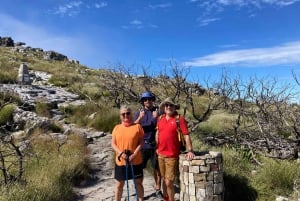 Кейптаун: поход с гидом на Столовую гору и спуск на канатной дороге