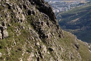 Кейптаун: поход с гидом на Столовую гору и спуск на канатной дороге