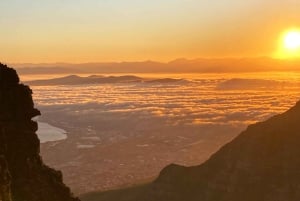 Kapstaden: Guidad vandring uppför Taffelberget/linbana ner