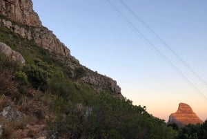 Kapstaden: Guidad vandring uppför Taffelberget/linbana ner