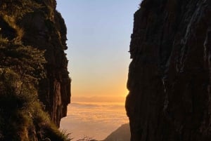 Kapstaden: Guidad vandring uppför Taffelberget/linbana ner