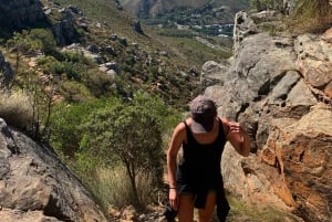 Cape Town: Guidet fottur på Taffelberget med spektakulær utsikt