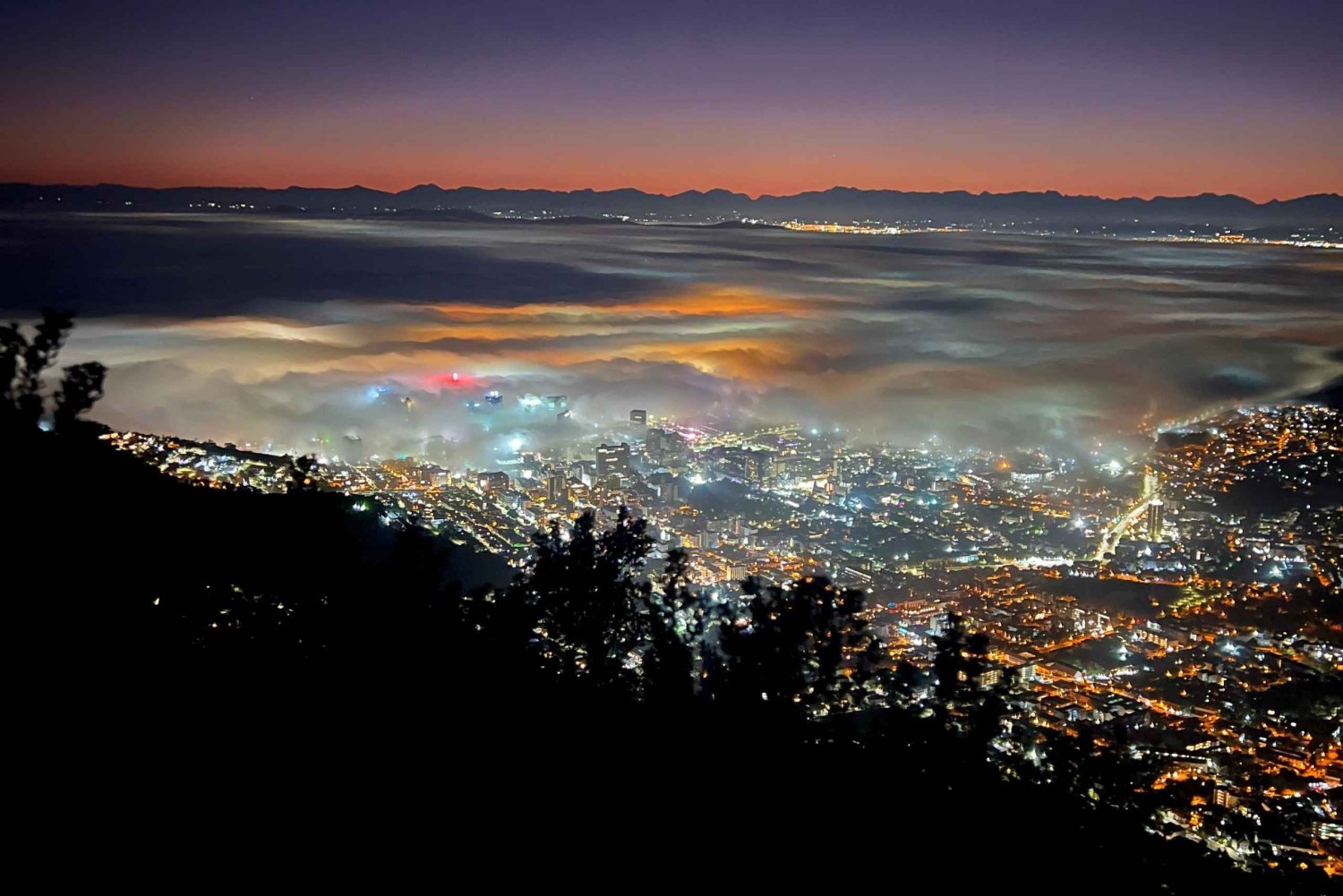 Hike Table Mountain in Cape Town with an Experienced Guide