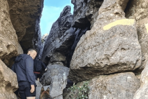 Kapkaupunki: Table Mountain -vaellus kokeneen oppaan kanssa