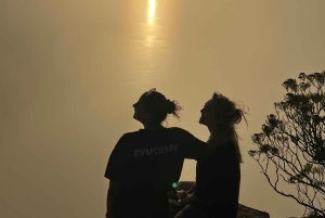 Kapkaupunki: Table Mountain -vaellus kokeneen oppaan kanssa