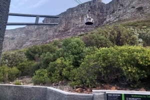 Kapkaupunki: Pöytävuoren puolipäiväretki köysirata-ajelulla