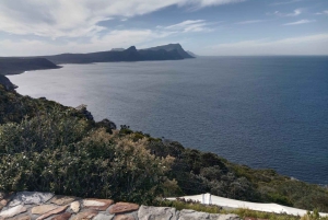 Kapsztad: Półdniowa wycieczka na Górę Stołową z przejażdżką kolejką linową