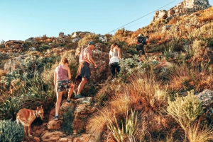 Kapstadt: Wanderung am Tafelberg über India Venster Route