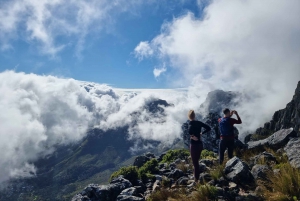Cidade do Cabo: Caminhada na Table Mountain com um guia especializado