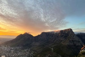 Cape Town: Vandring på Taffelberget med en ekspertguide