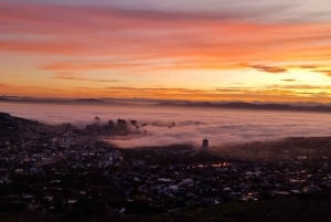 Kaapstad: Wandeling op de Tafelberg met een deskundige gids