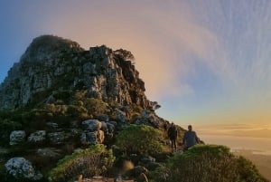 Kaapstad: Wandeling op de Tafelberg met een deskundige gids