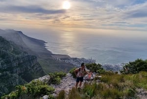 Cape Town: Taffelberget med ekspertguide