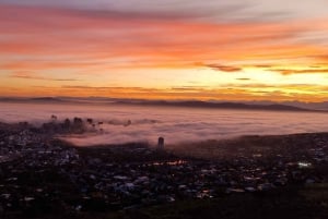 Cape Town: Taffelberget med ekspertguide