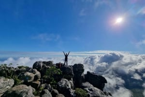 Cape Town: Taffelberget med ekspertguide