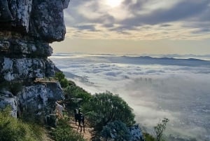 Cape Town: Taffelberget med ekspertguide