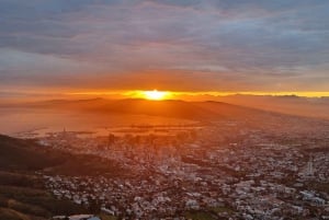 Cape Town: Taffelberget med ekspertguide