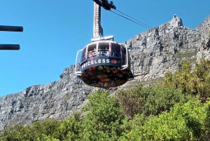 Кейптаун: Столовая гора, включая трансфер из отеля.
