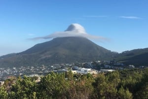 Cape Town: Taffelberget Kasteelspoort tursti